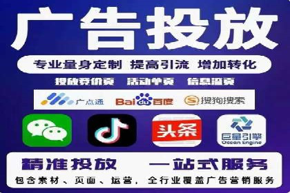 专业SEM服务公司案例分析报告